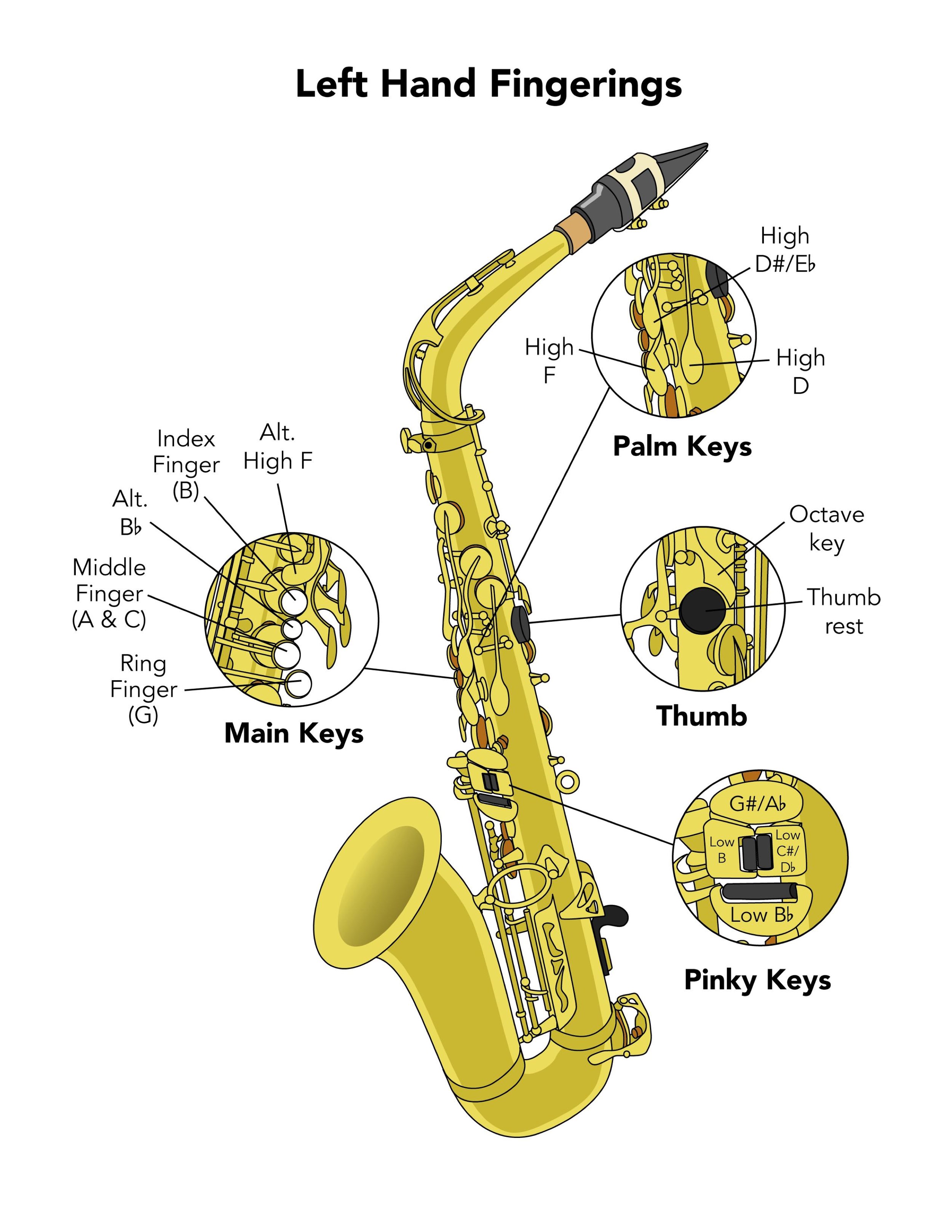 Saxophone Fingering Chart — Beginning Saxophone